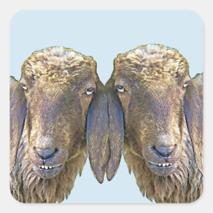 Adesivo Quadrado Fazenda Gira Arte De Família Animal 