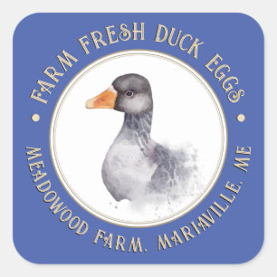 Adesivo Quadrado Fazenda Pato Fresco Ovos Aquarela Pinto Azul