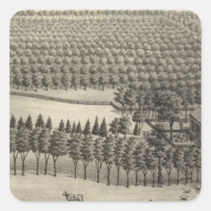 Adesivo Quadrado Fazenda sem amor, Nebraska