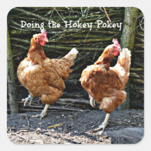 Adesivo Quadrado Fazendo o Hokey Pokey,