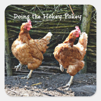 Adesivo Quadrado Fazendo o Hokey Pokey,
