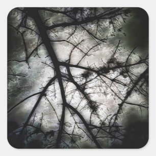 Adesivo Quadrado Fechando em