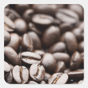 Adesivo Quadrado Feijões de café orgânicos da montanha roxa de K