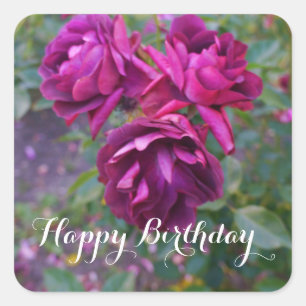 Adesivo Quadrado Feliz Aniversário Burgundy Iceberg Rosa #3 Sticker