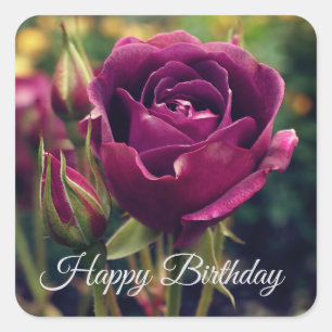 Adesivo Quadrado Feliz Aniversário Burgundy Rosa de Iceberg #1