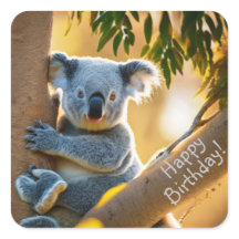Feliz Aniversário, Cute Koala Bear Stickers