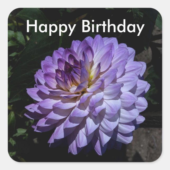 Adesivo Quadrado Feliz Aniversário Dahlia Bea Paradise #1 Stickers (Frente)