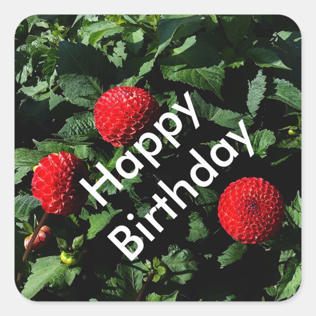 Adesivo Quadrado Feliz Aniversário Dahlia Irlandês Brilho #1 Sticke (Frente)