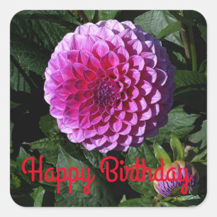 Adesivo Quadrado Feliz Aniversário Dahlia Pink Paradise #1 Sticker