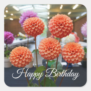Adesivo Quadrado Feliz Aniversário Dahlia Rosa Toscano #1-1 Sticker