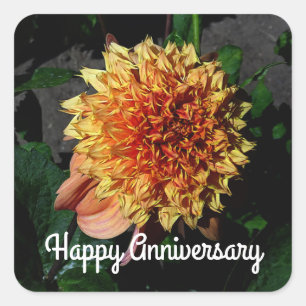 Adesivo Quadrado Feliz Aniversário Dahlia Sandia Brocade #1 Praça