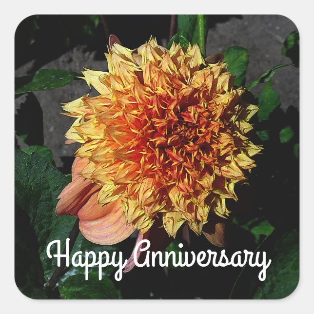 Adesivo Quadrado Feliz Aniversário Dahlia Sandia Brocade #1 Praça (Frente)