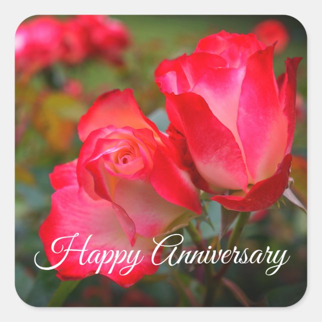 Adesivo Quadrado Feliz Aniversário de Cherry Parfait #4-2 Stickers (Frente)