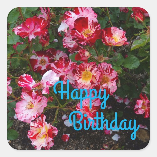 Adesivo Quadrado Feliz Aniversário Dia 4 de julho Rosa nº 1 (Frente)