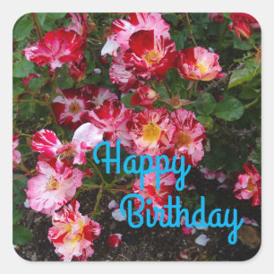 Adesivo Quadrado Feliz Aniversário Dia 4 de julho Rosa nº 1 Adesi