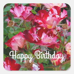 Adesivo Quadrado Feliz Aniversário Dia 4 de julho Rosa nº 2 Adesi