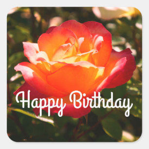 Adesivo Quadrado Feliz aniversário do Rainbow Sorbet Rosa nº 5 St