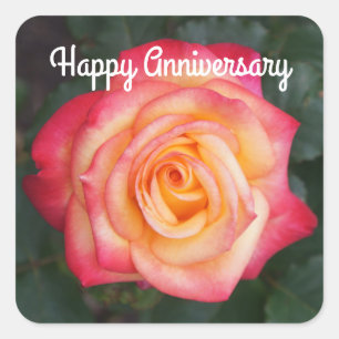 Adesivo Quadrado Feliz Aniversário do Sonho Vêm Rosa de Verdade