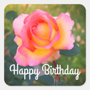 Adesivo Quadrado Feliz Aniversário Elle Rosa nº 2-3 Stickers