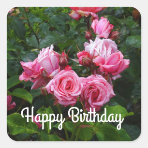 Adesivo Quadrado Feliz aniversário Gene Boerner Rosa nº 1 Adesker