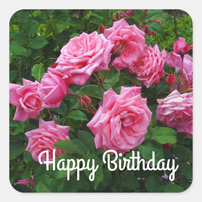 Adesivo Quadrado Feliz aniversário Gene Boerner Rosa nº 2 Stickers (Frente)