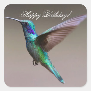 Adesivo Quadrado Feliz aniversário, Hummingbird