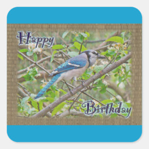 Adesivo Quadrado Feliz aniversario Jay azul