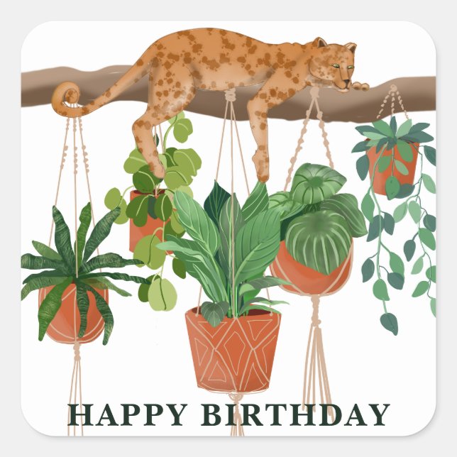 Adesivo Quadrado Feliz aniversário, Leopardo dormindo com plantas c (Frente)