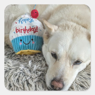 Adesivo Quadrado Feliz aniversário para você.