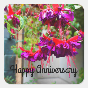 Adesivo Quadrado Feliz aniversário, Red & Purple Fuchsia #1 Sticke