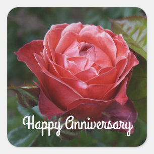 Adesivo Quadrado Feliz Aniversário Rosa de Cacau Quente nº 2-1