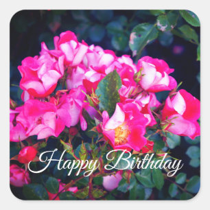 Adesivo Quadrado Feliz Aniversário Rosa Sem Espírito Carreira #1