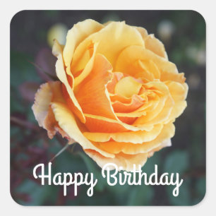 Adesivo Quadrado Feliz Aniversário Sobre O Rosto Rosa Nº 3 Adesiv