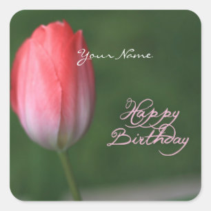 Adesivo Quadrado feliz aniversário tulipa vermelha flor