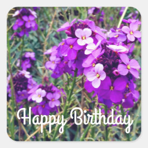 Adesivo Quadrado Feliz Aniversário Wallflower Bowles Mauve #1 Stic