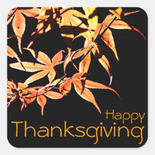 Adesivo Quadrado Feliz Dia de Ação de Graças com Maples - Cores do 