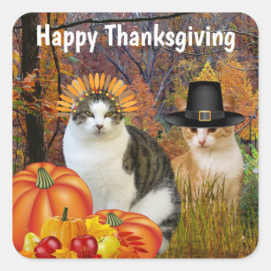Adesivo Quadrado Feliz Dia de Ação de Graças Gatos Bons Pumpkin