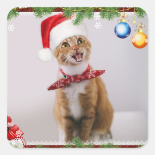 Adesivo Quadrado Feliz gato com chapéu de natal vermelho