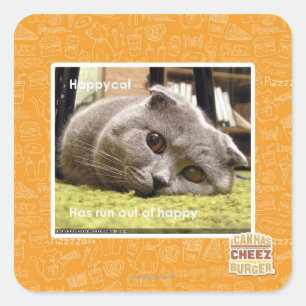 Adesivo Quadrado Feliz gato, fora de felicidade
