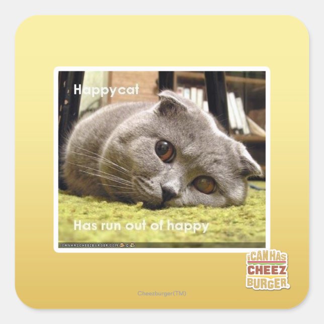 Adesivo Quadrado Feliz gato, fora de felicidade (Frente)