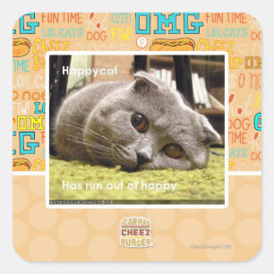 Adesivo Quadrado Feliz gato, fora de felicidade