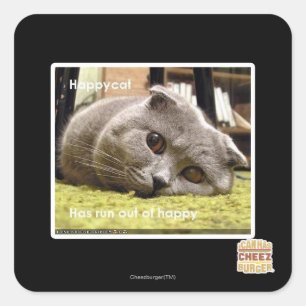 Adesivo Quadrado Feliz gato, fora de felicidade
