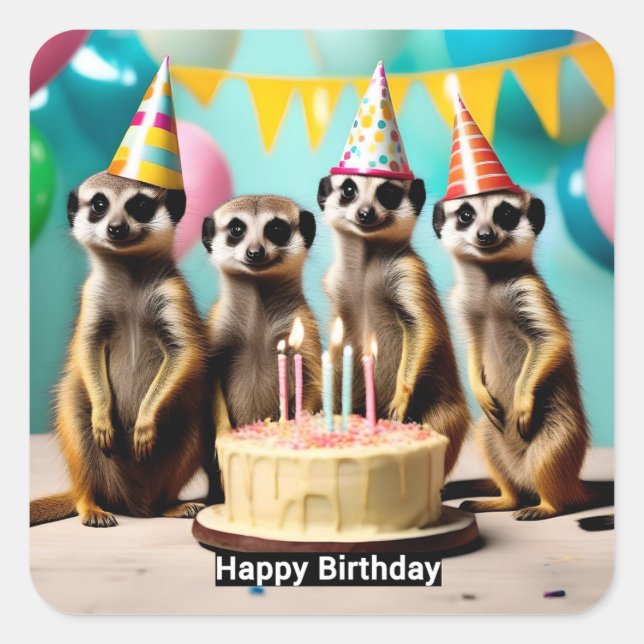Adesivo Quadrado Feliz Meerkat Birthday, (Frente)