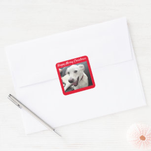Adesivo Quadrado Feliz Natal Alegre Cão Sorridente Engraçado Férias