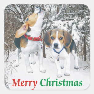 Adesivo Quadrado Feliz Natal Beagle Snowy Woods Stickers