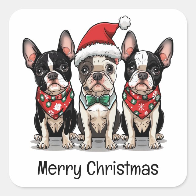 Adesivo Quadrado Feliz Natal - Boston Terrier Dogs (Frente)