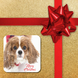Adesivo Quadrado Feliz Natal Cavalier King Charles Nevado