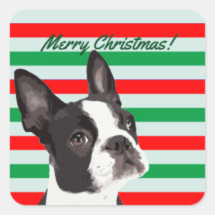 Adesivo Quadrado Feliz Natal de uma Boston Terrier