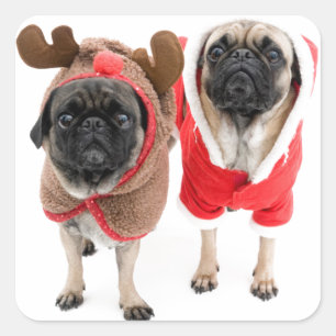 Adesivo Quadrado Feliz Natal dos Pugs