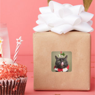 Adesivo Quadrado Feliz Natal Para Qualquer Gato Sob Mistura